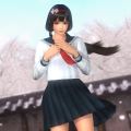DOA5 Last Round Newcomer Set DLC Naotora 3